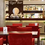 City Hotel فندق