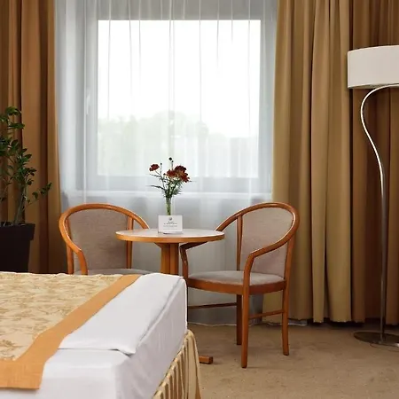 City Hotel